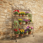 Fioriera/Libreria in ferro decorativa